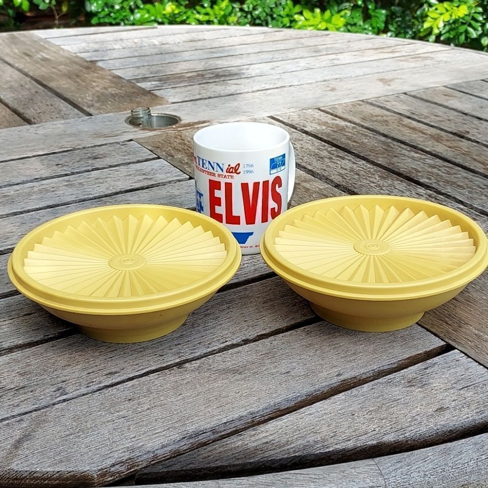 Vintage Pair Tupperware Bowls with lids